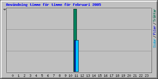 Användning timme för timme för Februari 2005