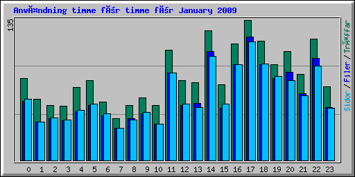 Användning timme för timme för January 2009