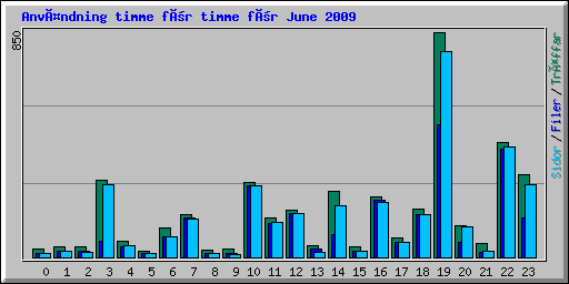 Användning timme för timme för June 2009