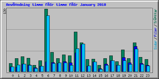 Användning timme för timme för January 2010