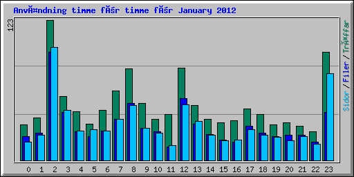 Användning timme för timme för January 2012